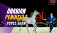 Arabian Peninsula Horse Show 2022